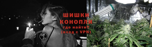 эйфоретик Ладушкин