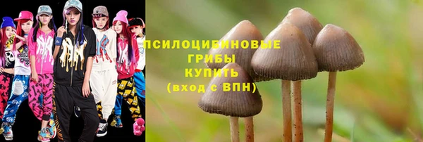 эйфоретик Ладушкин