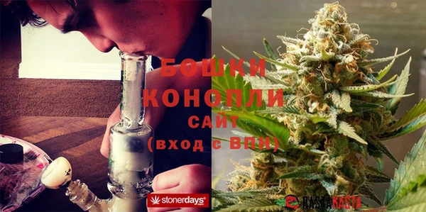 эйфоретик Ладушкин