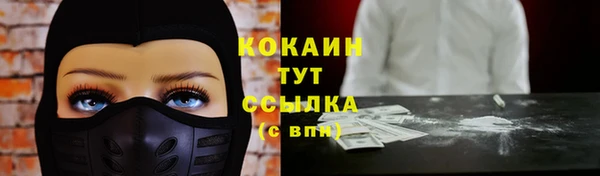 эйфоретик Ладушкин