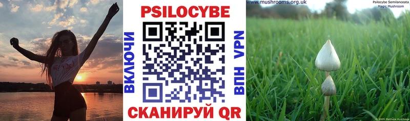 где найти   Юрьевец  Псилоцибиновые грибы мицелий 