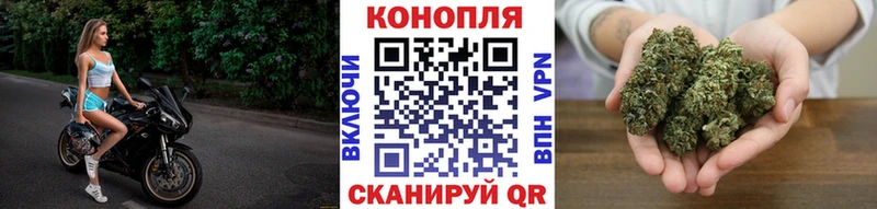 Бошки марихуана семена  магазин продажи наркотиков  Юрьевец 